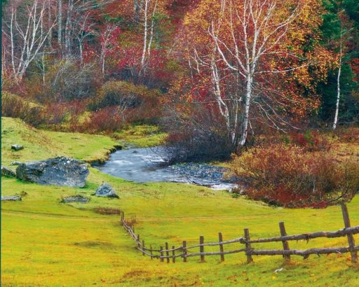 Entre sueños (y una explosión de sabores regionales)