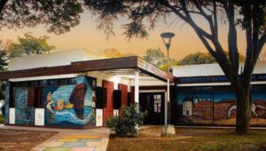 Harry Potter, poesía, juegos y fantasmas: Llega La noche de las bibliotecas en Mar del Plata