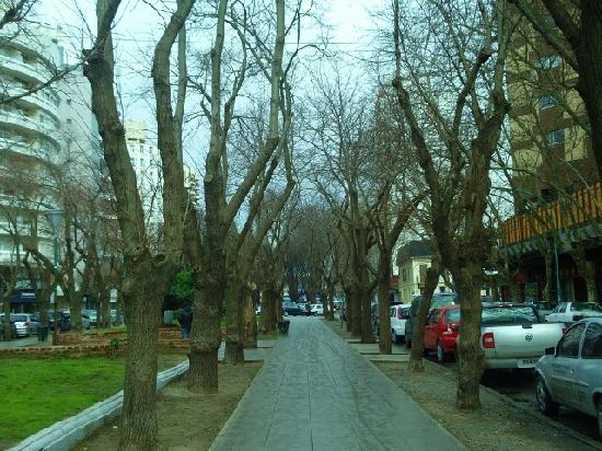 Mar del Plata Histórica y Misteriosa: Paseo guiado y presentación de libro en la “Avenida de los tilos”